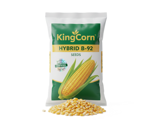 KingCorn Hybrid B-92